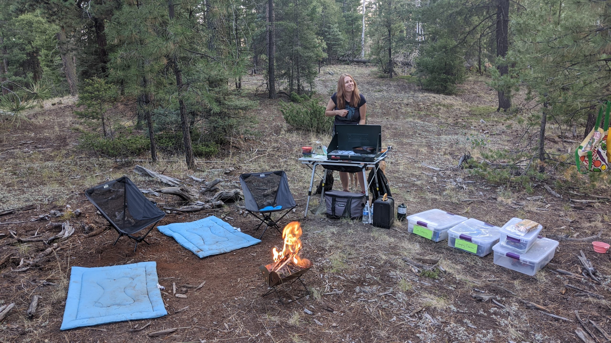Car Camping – Essential Gear, Worth-It Upgrades, Lessons & Tips